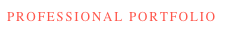 PROFESSIONAL PORTFOLIO